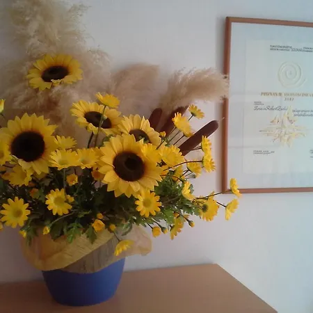 And Zudic 3* Strunjan